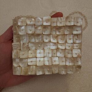 Unique Abalone Shell Mini Purse With Beaded Shoulder Strap
